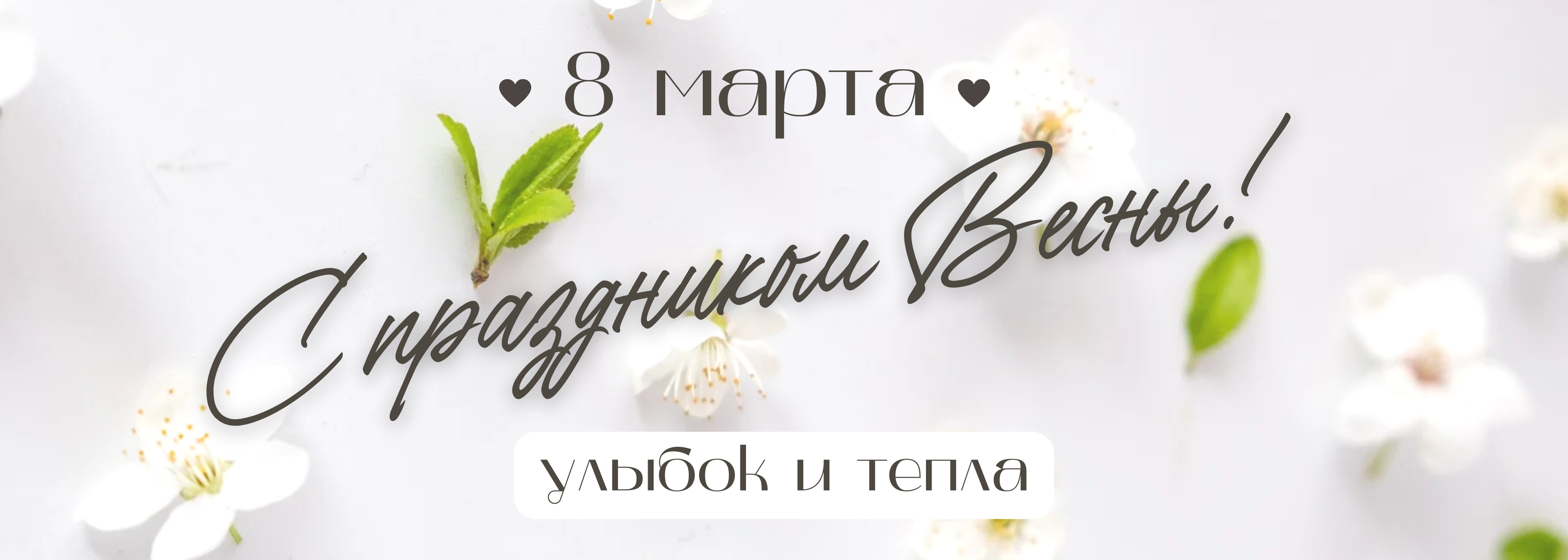 Команда Бротек поздравляет с 8 Марта!