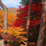 Экскурсионная программа в Сеуле